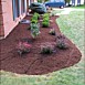 Flowerbed & Shrub Maintenance